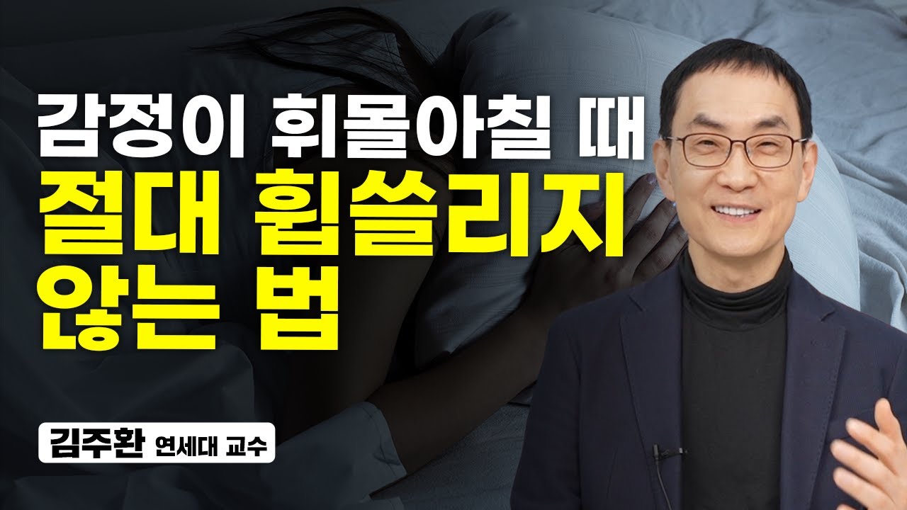 누구나 가능한 감정 훈련법. 딱 '이것'만 알아차리면 됩니다 (김주환 교수)