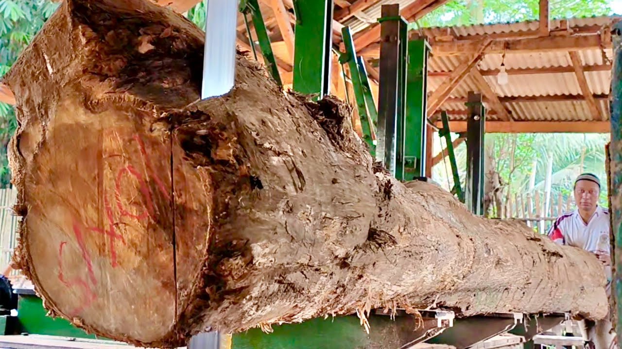 UNEXPECTED SURPRISE! 12-Meter-Long Teak Wood Found at a Sawmill