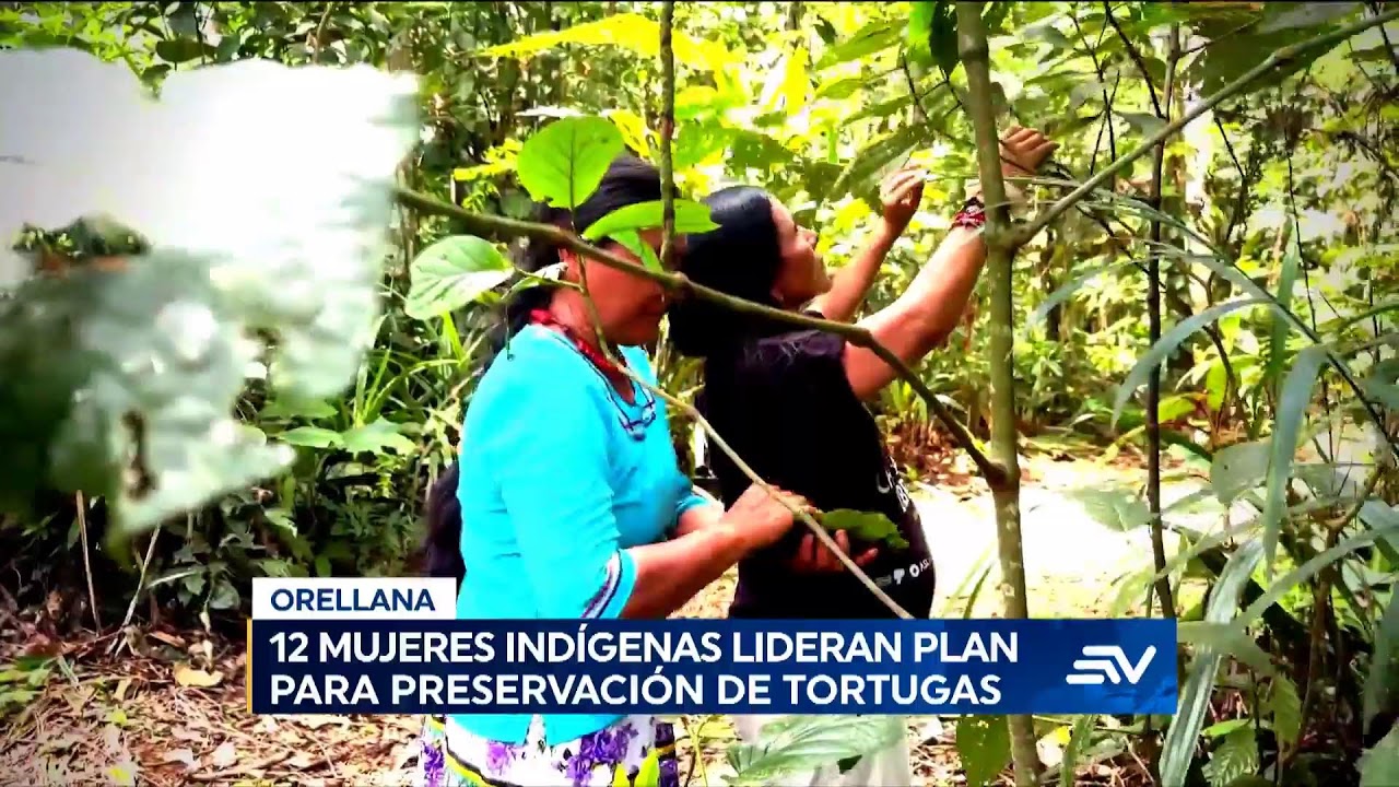 #ENVIVO🔴 | TELEVISTAZO 1PM  20-3-2026