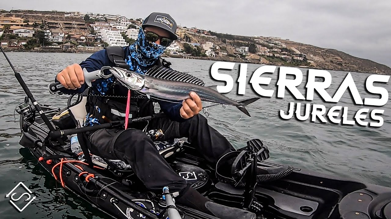 Sierras y jureles en KAYAK