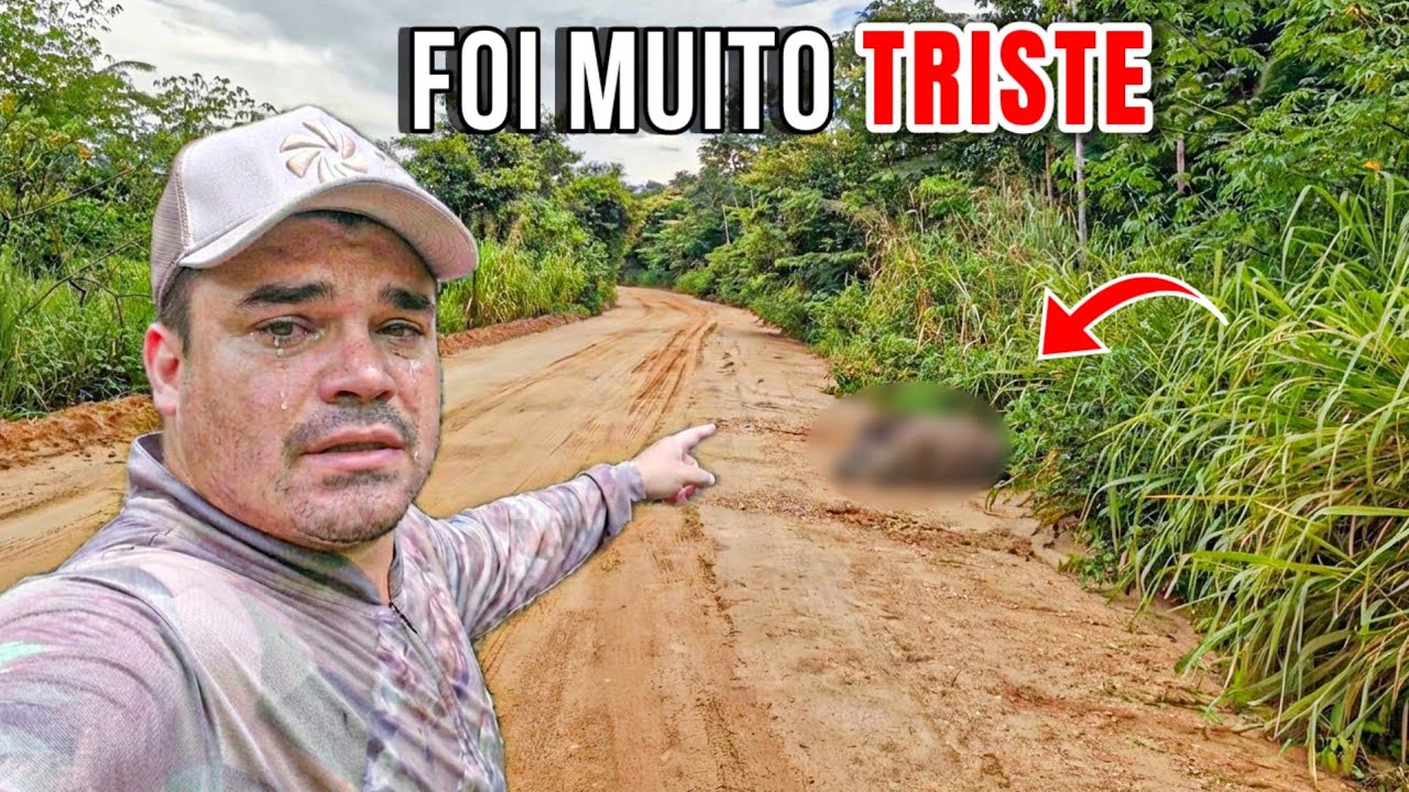 PARTIU NOSSO CORAÇÃO: O QUE ENCONTRAMOS NA BEIRA DA ESTRADA