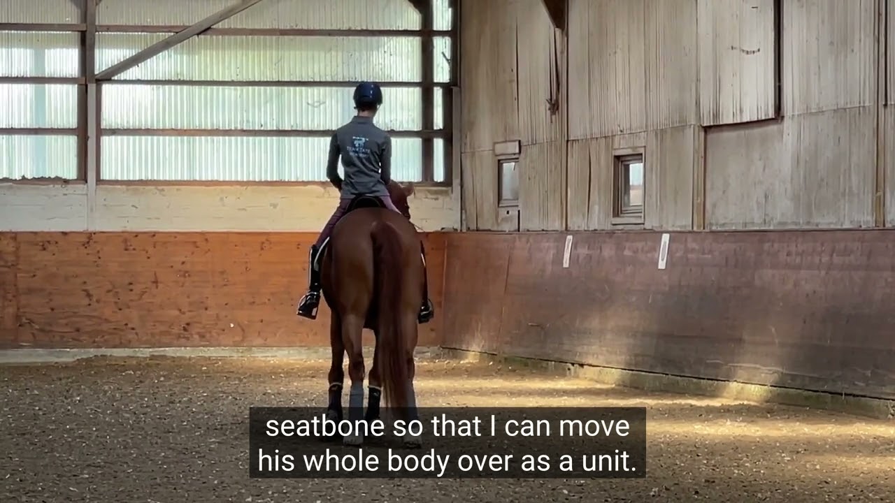 Improving the Canter Half Pass with Derby