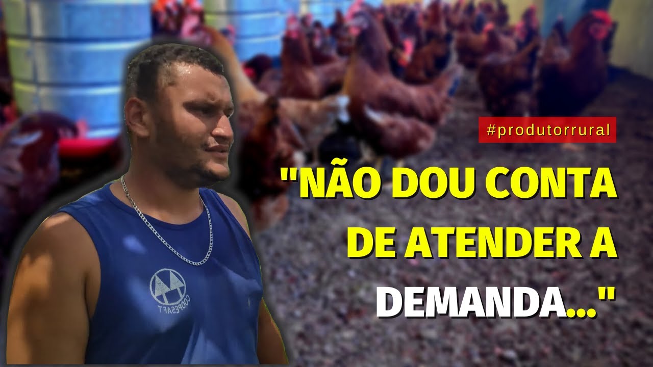 Ele é empreendedor rural de SUCESSO só com galinha poedeira. Tem uma RENDA EXTRA incrível com ovos