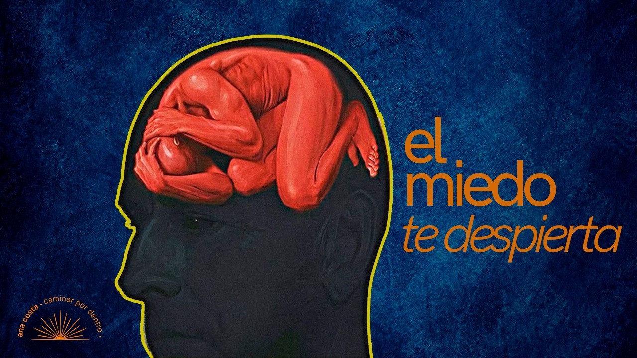 El miedo te despierta - Ana Costa