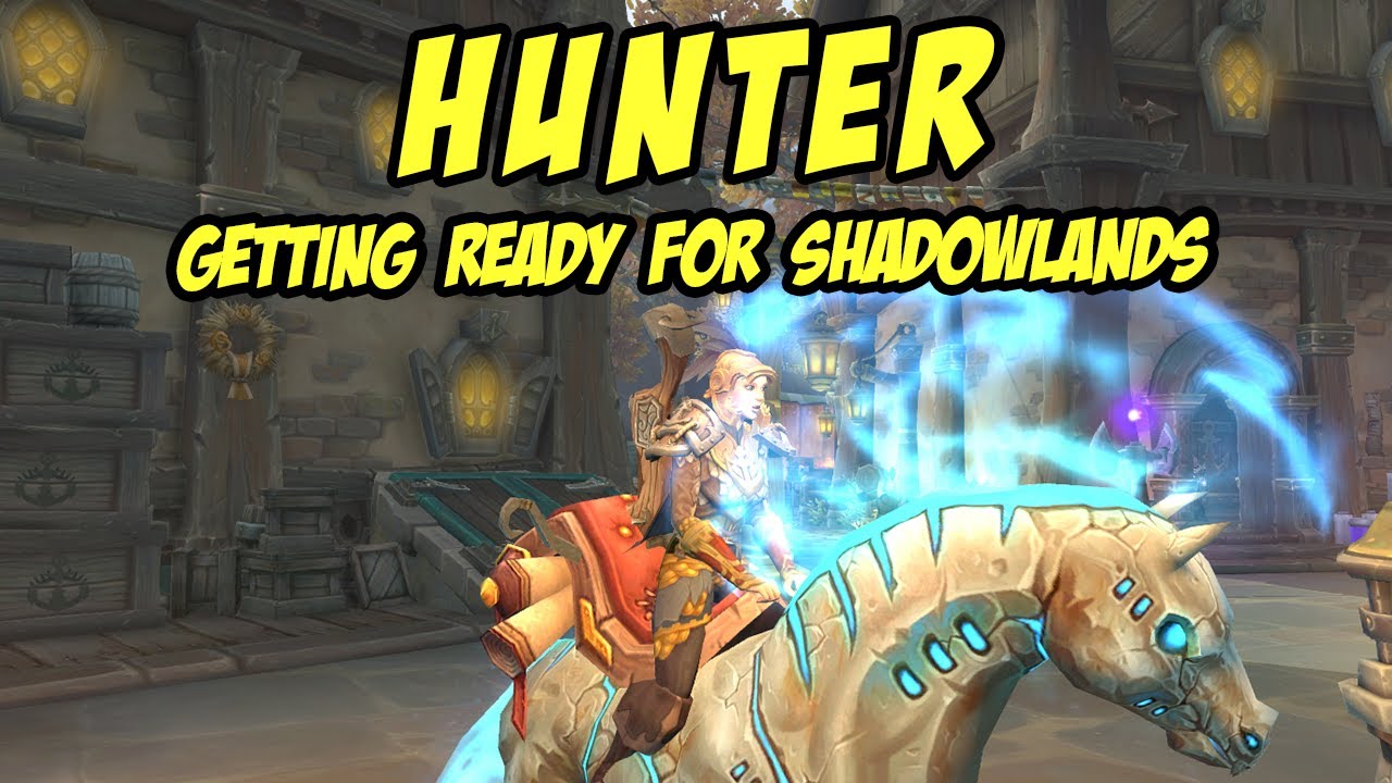 HUNTER ALT Getting READY for Shadowlands | WoW: Battle For Azeroth 8.3