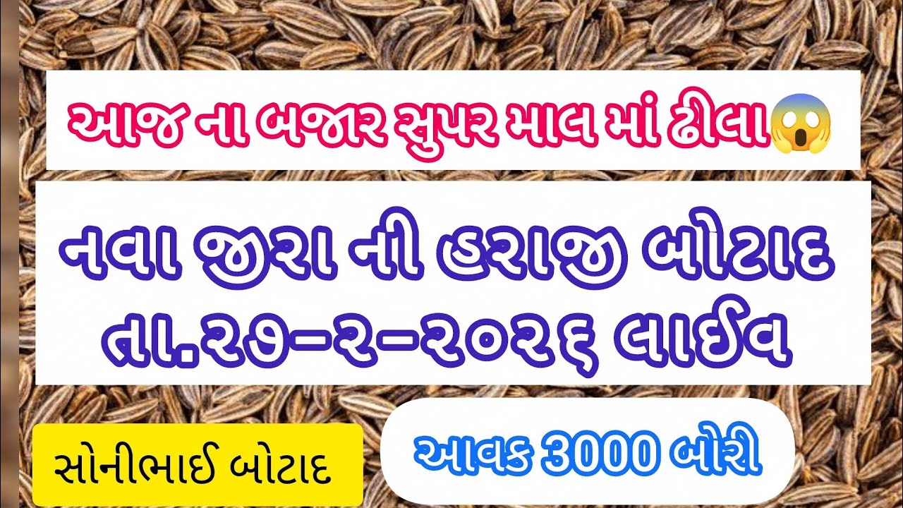 ૨૭-૨-૨૬😱😱જીરા ની હરાજી બોટાદ #sonibhaibotad #જીરુંનોભાવ #apmcbhav 🔵🔵🔵🔵