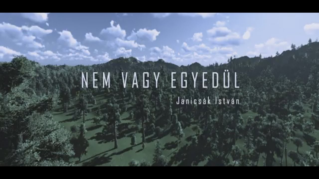 Janicsák István : Nem vagy egyedül