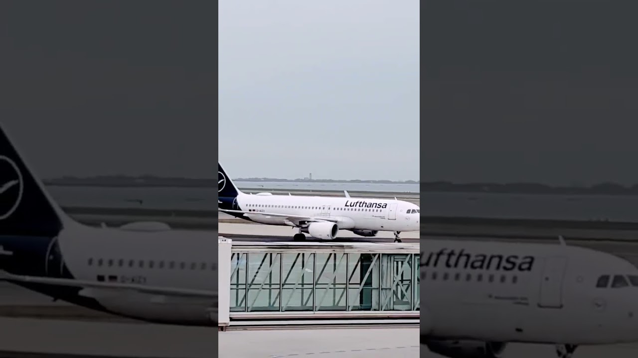 Incredible Look 😎 Lufthansa Airplane ✈️  #shorts #airplane #lufthansa