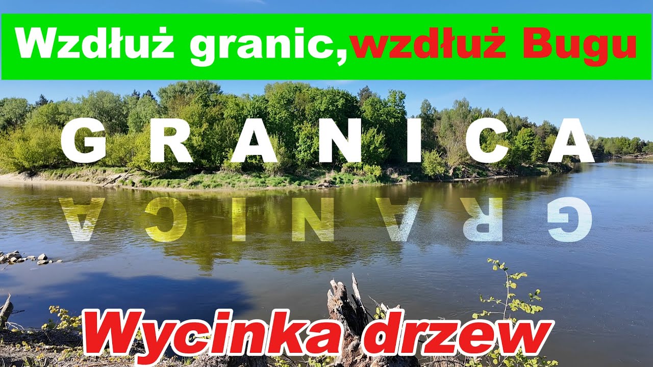 Wzdłuż granic, wzdłuż Bugu - Wycinka drzew , 1.05.2025r.