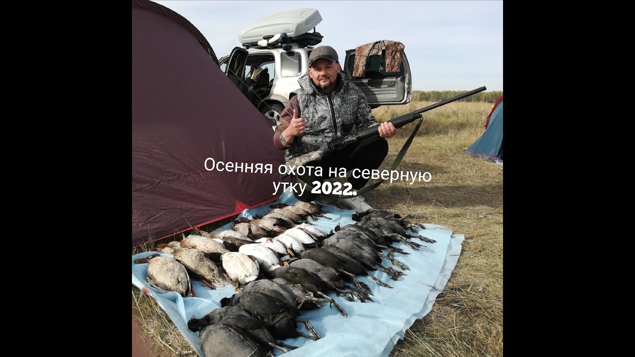 Охота на северную утку.Охота на лысуху.Осень 2022.Большой выезд.