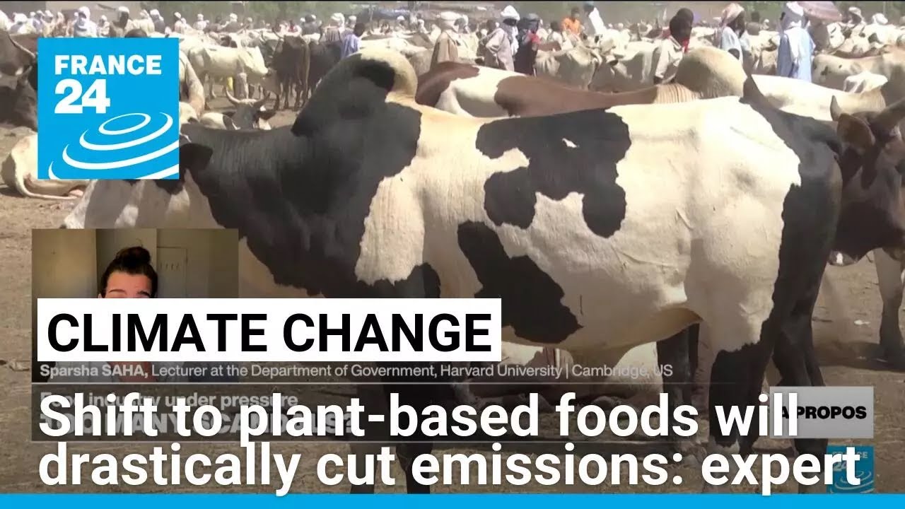 Shift toward more plant-based foods will drastically reduce emissions: expert &bull; FRANCE 24 English