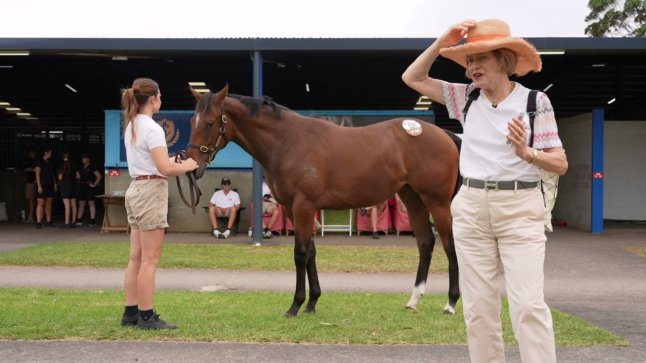 Inglis Premier Sale 2026: Street Boss x Inahappydaze Filly