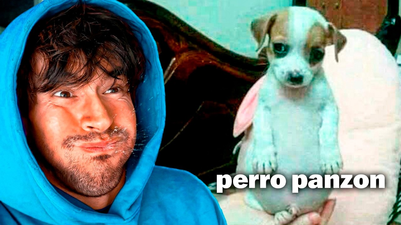 no veas este video si no puedes reirte FUERTE