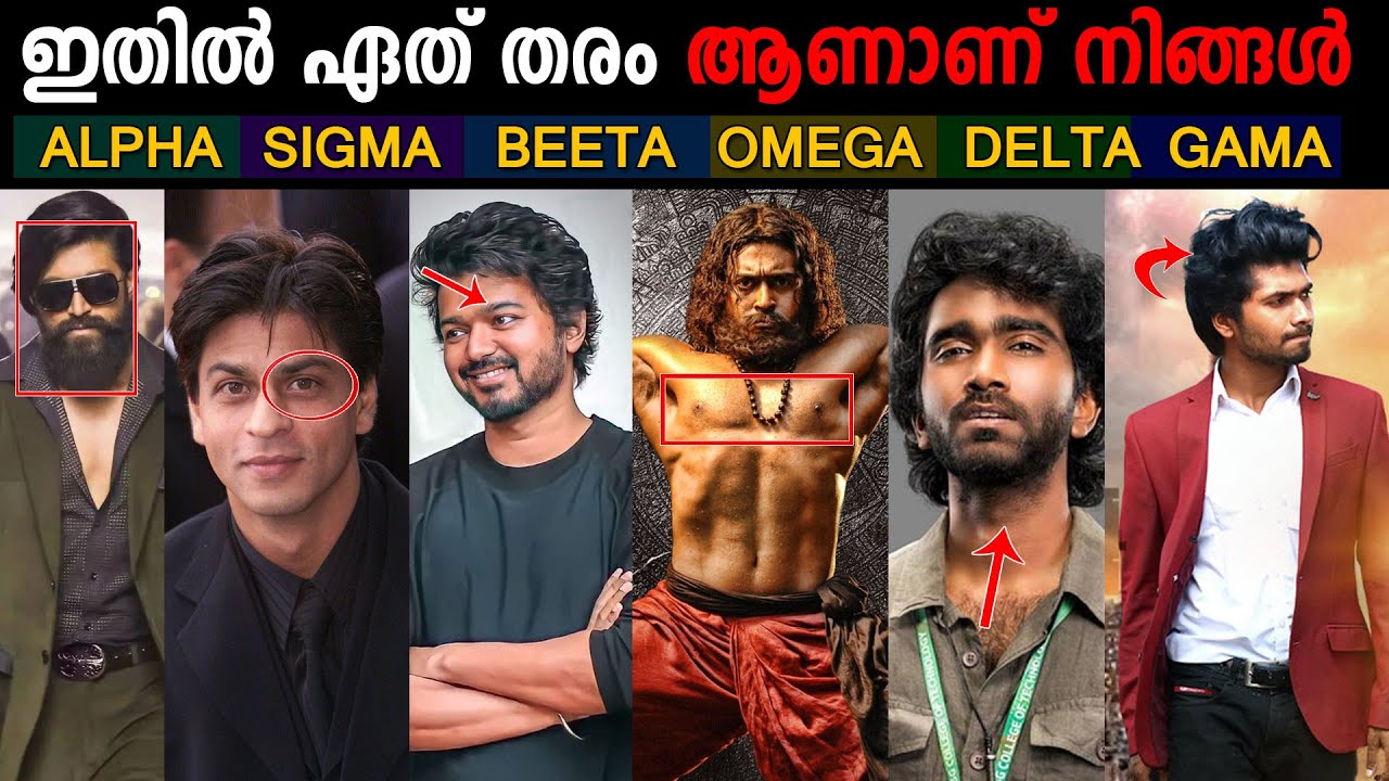 MALE PERSONALITY TYPES IN MALAYALAM || ALPHA VS BETA VS GAMMA VS OMEGA VS DELTA VS SIGMA MALE