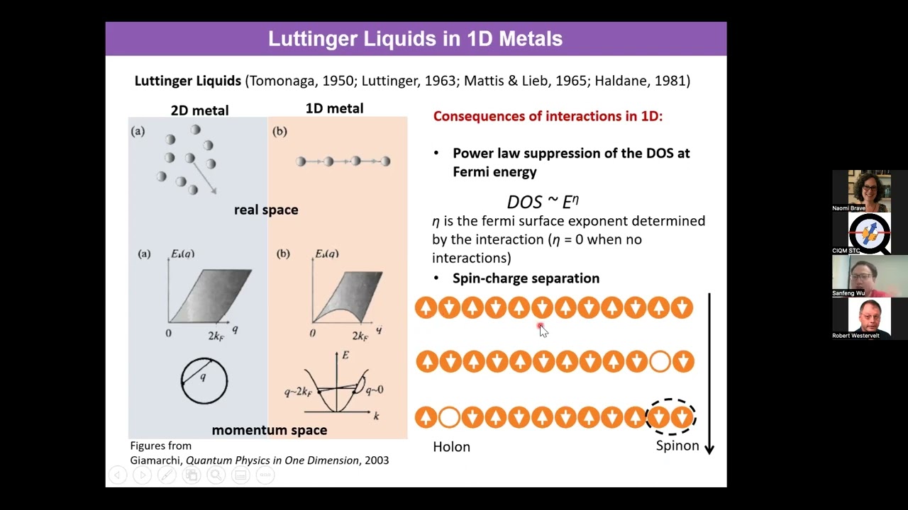 Moiré Luttinger Liquids in Two Dimensions - Sanfeng Wu