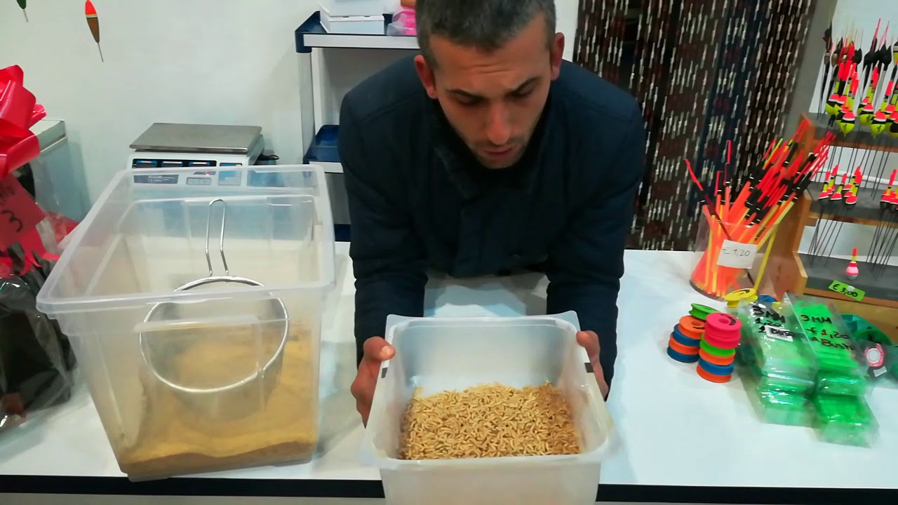 Rubrica n3 la conservazione del Bigattino