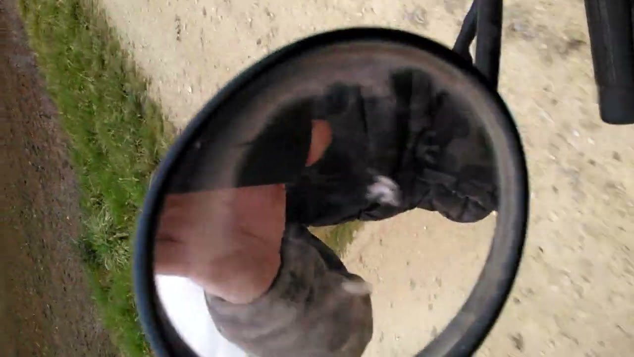 Présentation du Peugeot 103 Clip