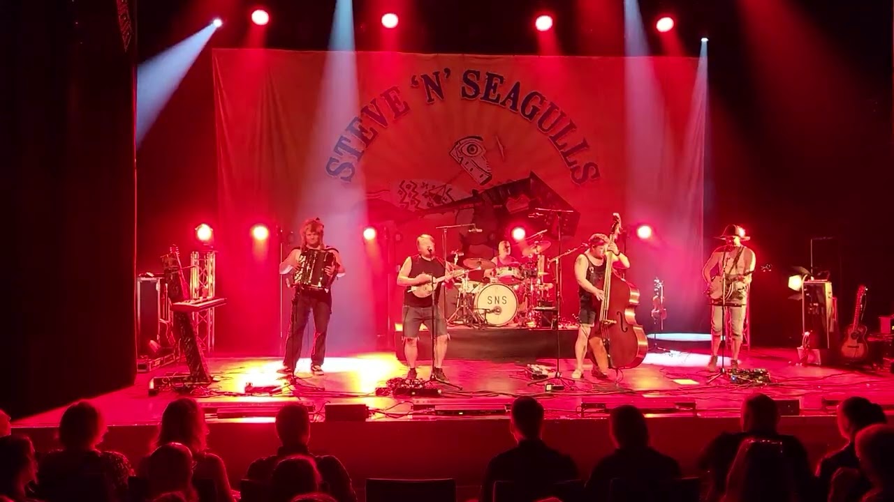 Steve 'N' Seagulls - Master Of Puppets (Metallica cover)