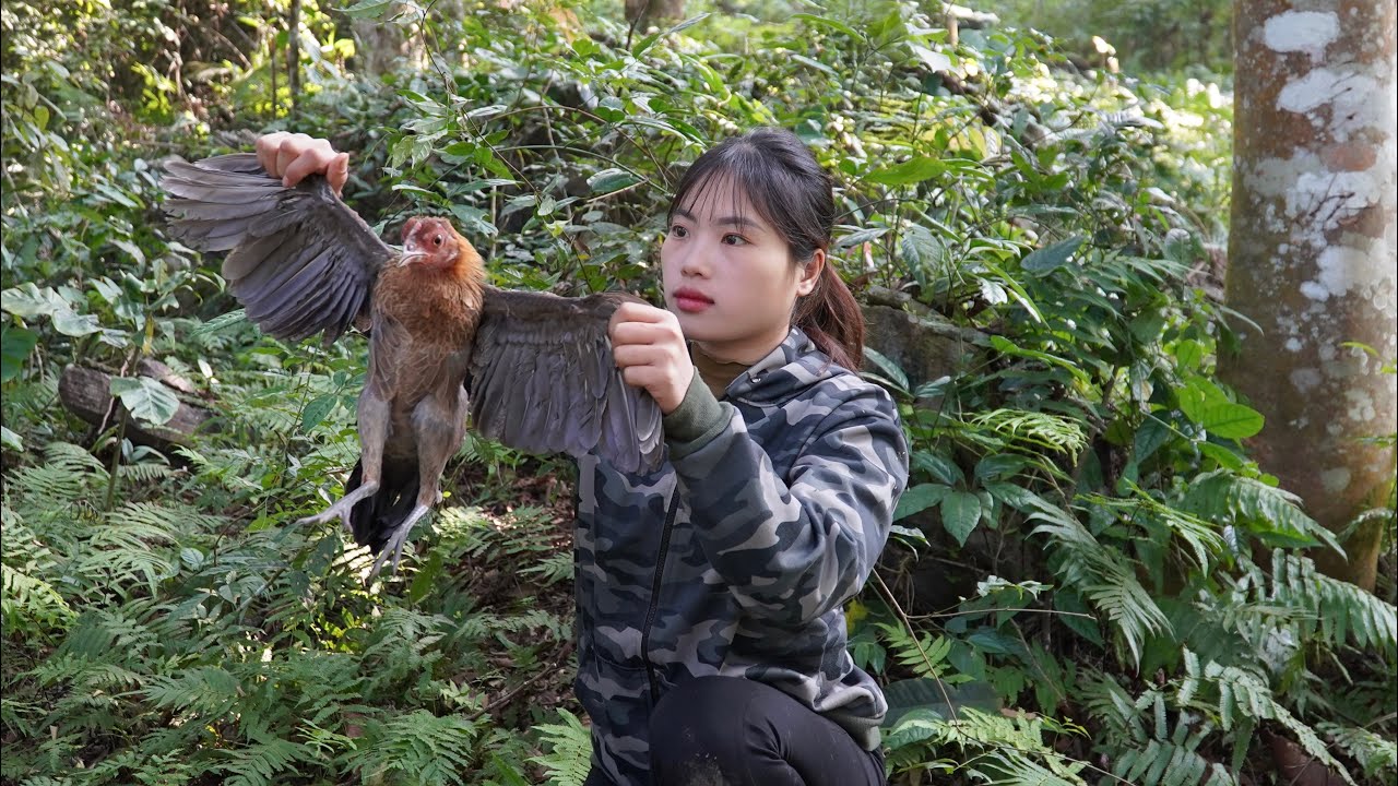 trapping skills, catching wild chickens, survival in nature, linh tân Building