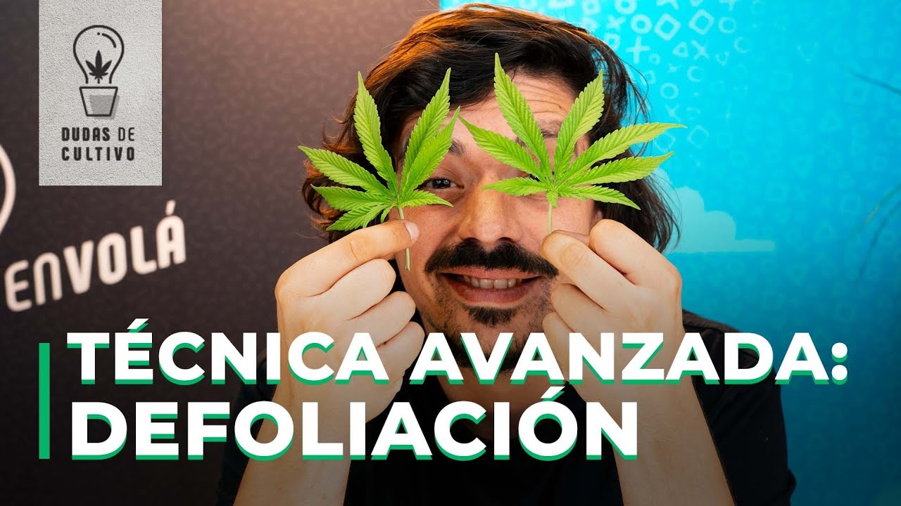 TUTORIAL DEFOLIACI&Oacute;N