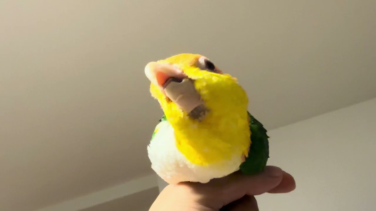 🍅🍋🥚🥝Everyone's full of energy! Every day is fun! Awesome!