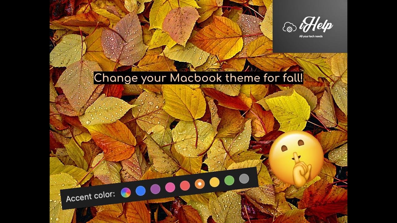 How to change the theme of your MacBook for fall! | iHelp