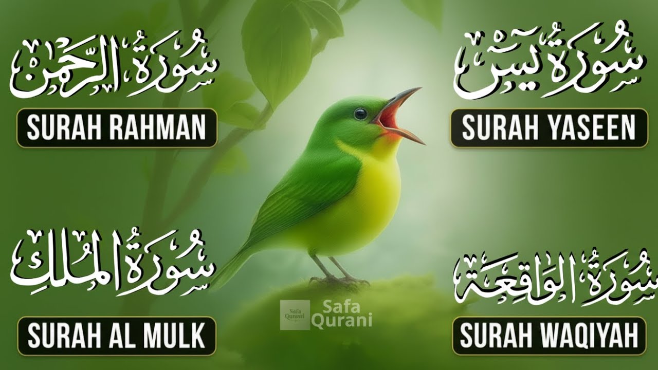 Beautiful Surah Yaseen (Yasin) | Surah Rahman | Surah Waqiah | Surah Mulk