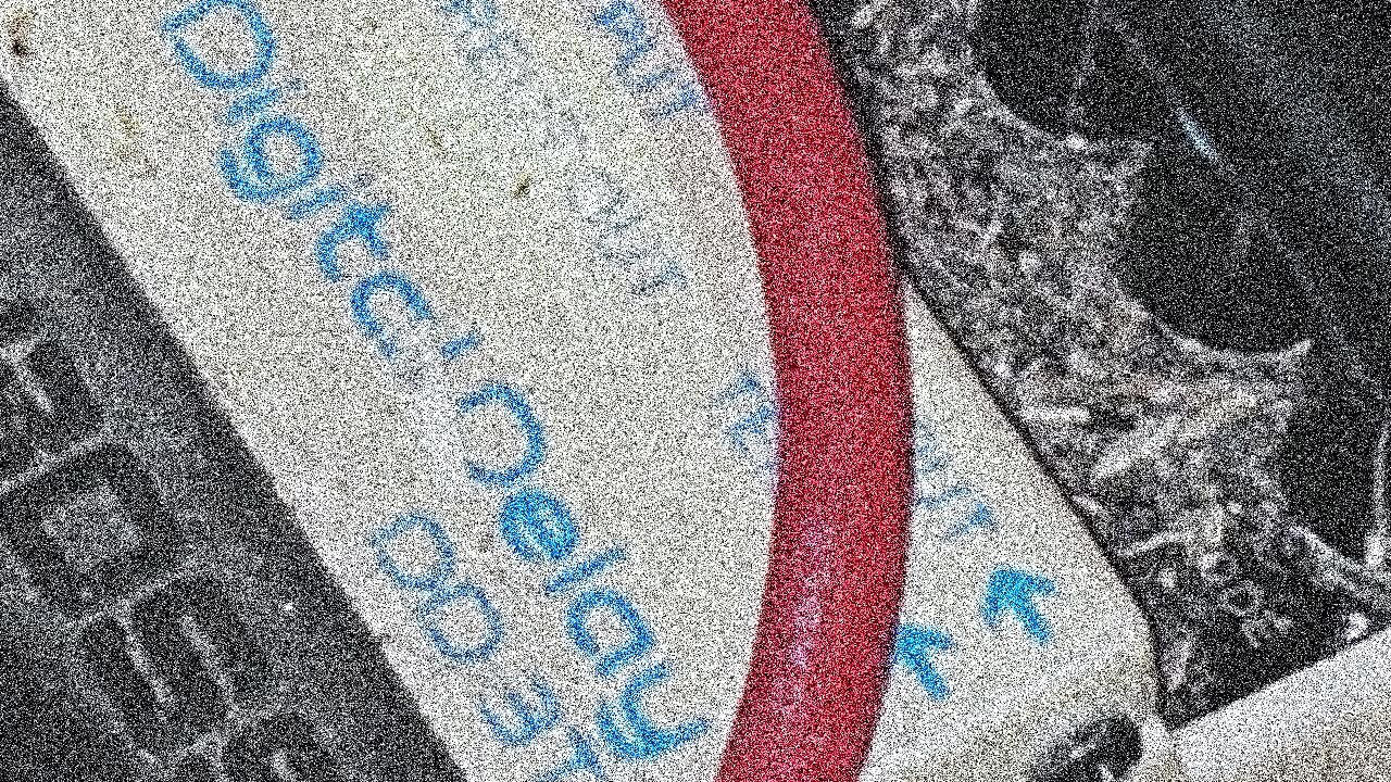 Noise Experiment 1/20/26