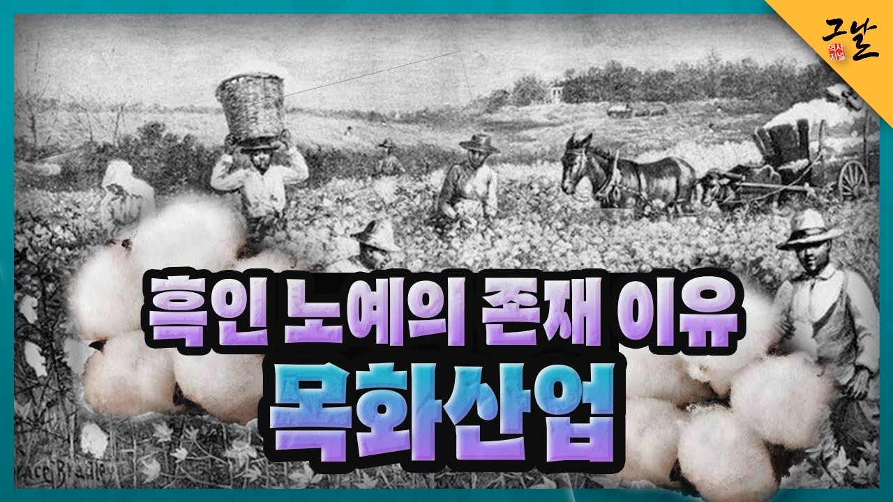 [KBS 역사저널 그날] 흑인 노예의 존재 이유, 목화 산업ㅣKBS 220205 방송