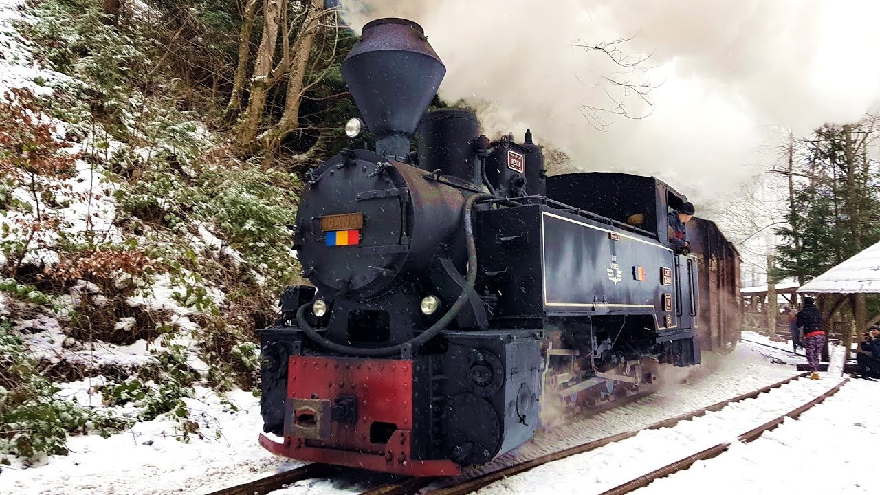 🚂 Steam train ride on a mountain narrow-gauge railway during snowfall ❄️ CFF Viseu de Sus