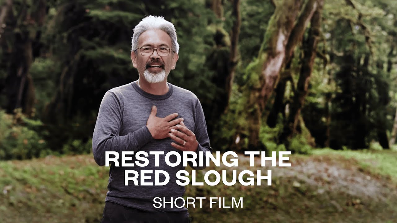 Restoring the Red Slough | Short Film