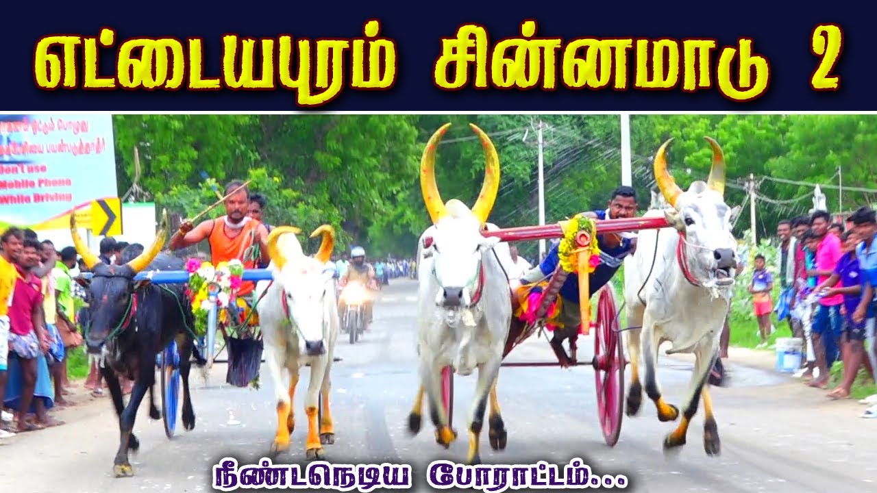1தூத்துக்குடி மாவட்டம் எட்டையபுரம்  50,000 ஆயிரம் சின்னமாடு 2 பந்தயம் 1.12.2024
