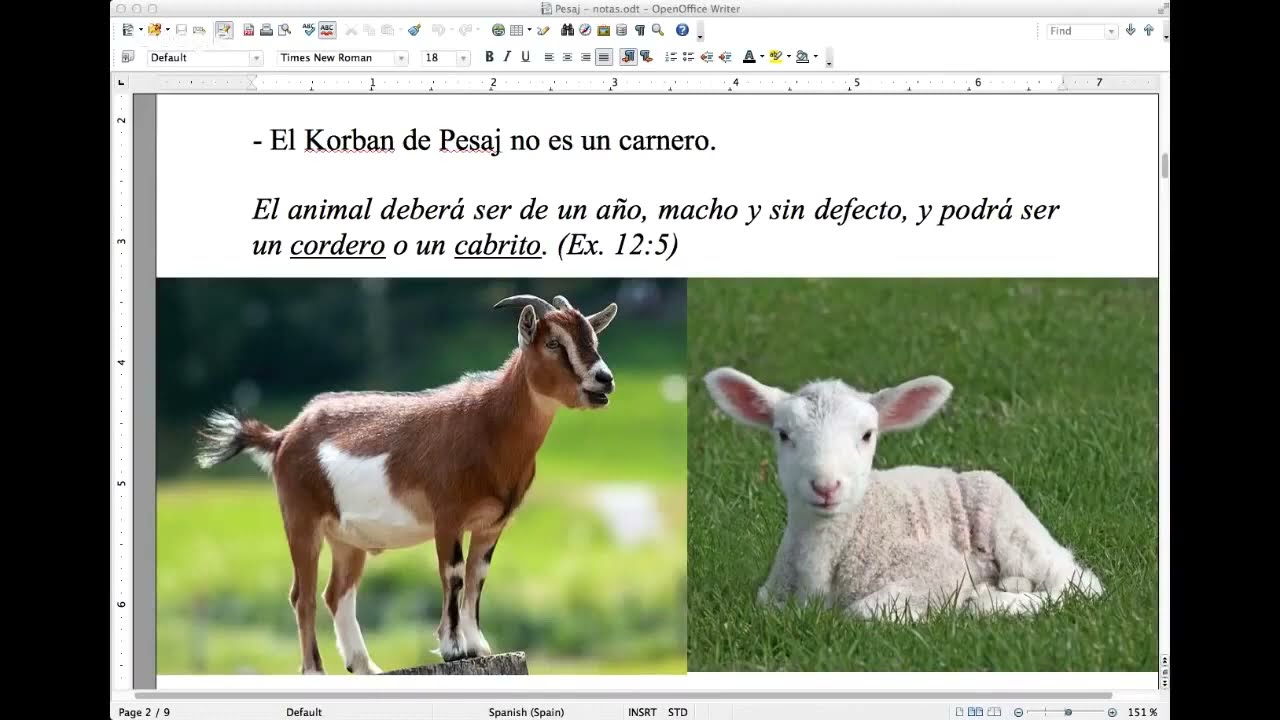 6 a. &iquest;Qu&eacute; es el el cordero de Ṗ֖ḛs̈aj? Avdiel ben Oved