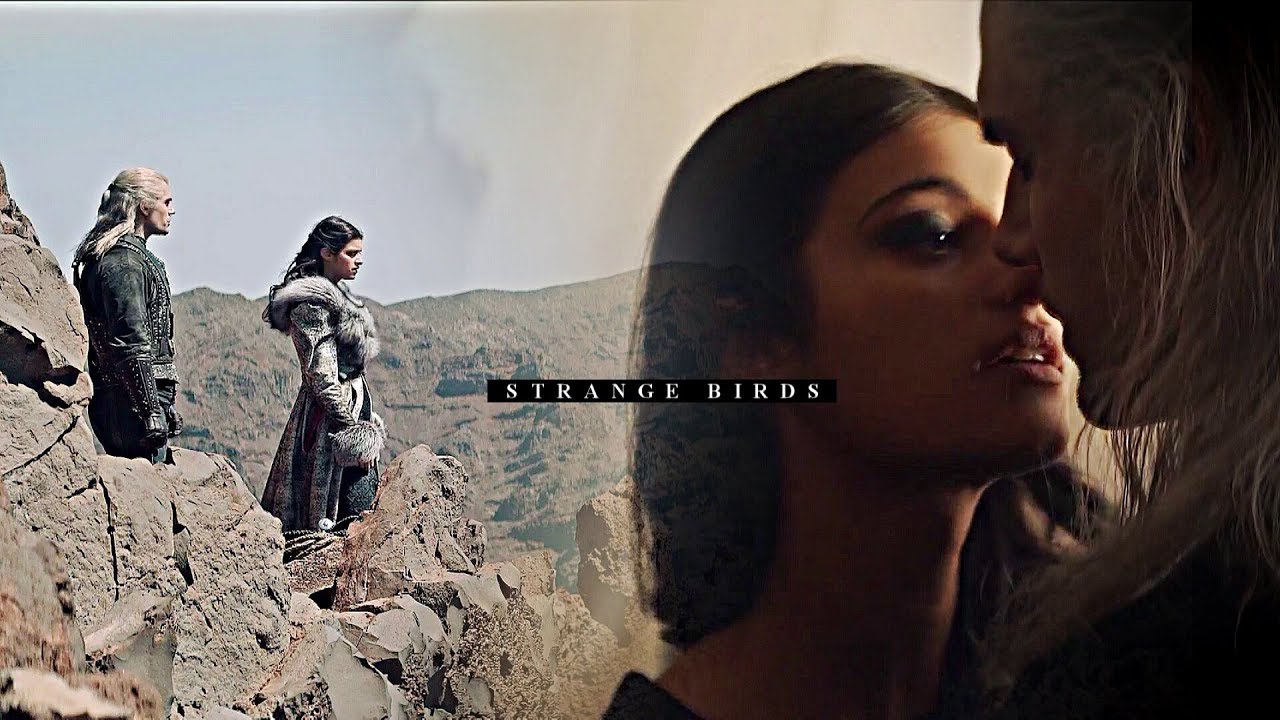 Geralt & Yennefer | Strange Birds
