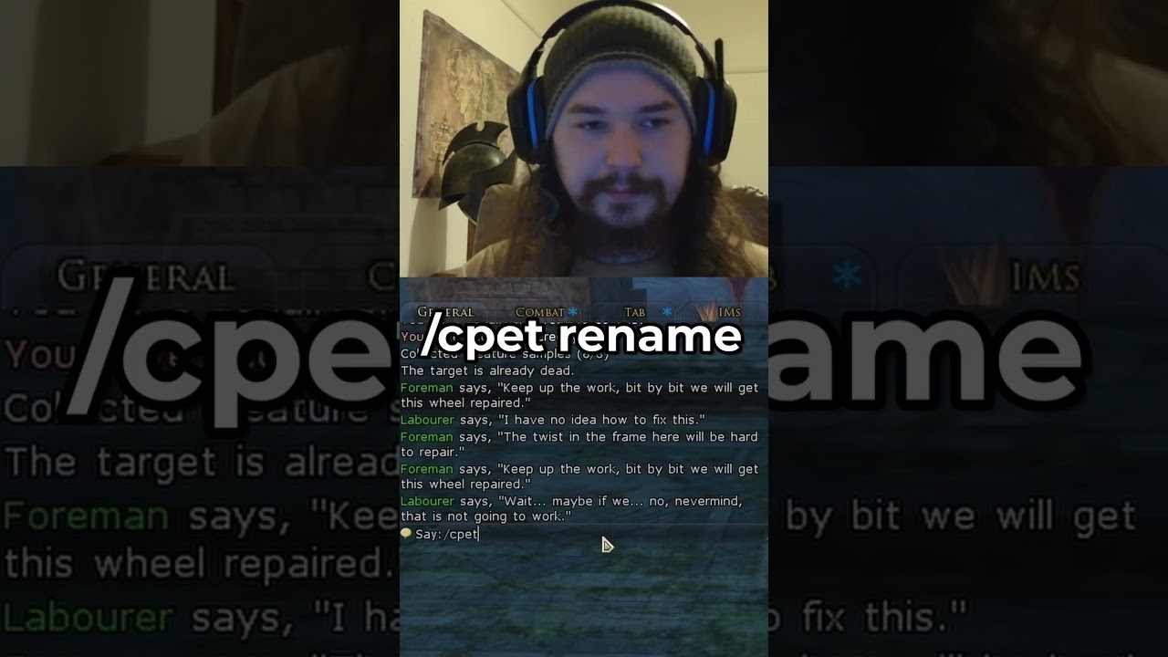 How to Rename Non-Combat Pets in Lord of the Rings Online #tips #lotro #pets #gaming #streamer