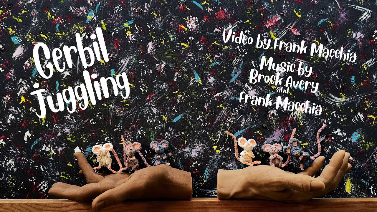 Gerbil Juggling by Frank Macchia & Brock Avery from Rhythm Abstractions: Ruby- Stop Motion Insanity!