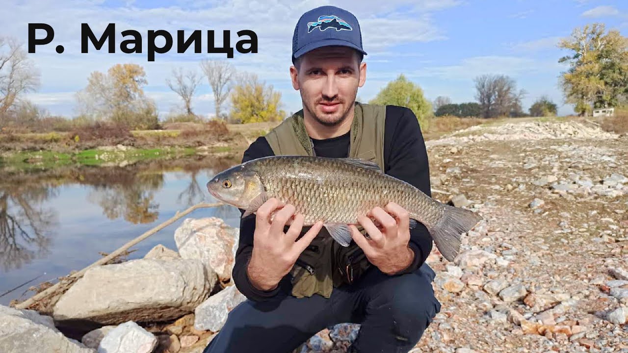 КЕФАЛИ в маловодие . Риболов на река Марица през месец Ноември . Нов ЛИЧЕН рекорд .