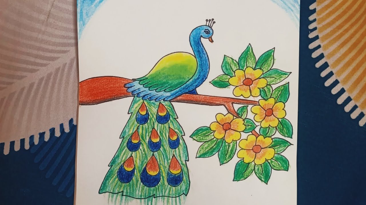 Easy peacock scenery drawing 