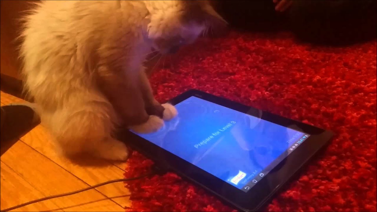 Oscar and the Friskies Cat Fishing Game
