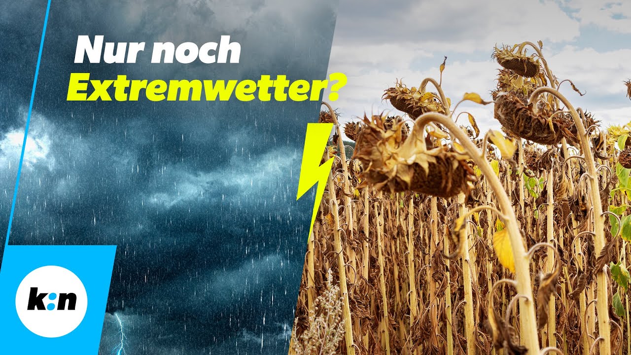 Dürre durch Klimawandel: Geht uns das Wasser aus?