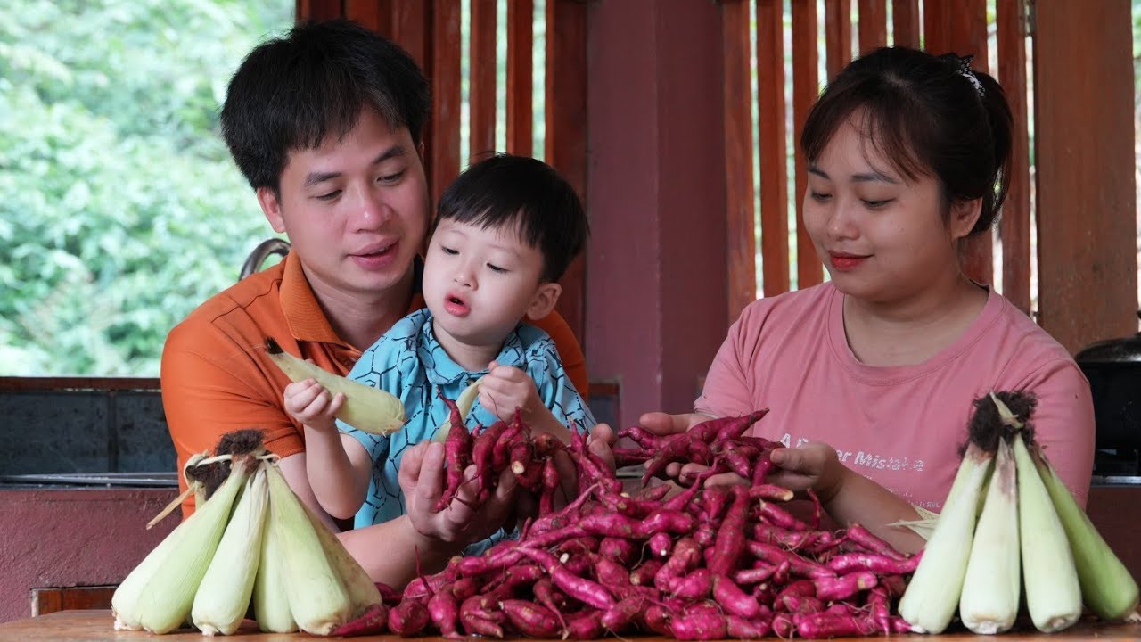 A Small Family Harvesting Sweet Potatoes and Corn – A Simple Countryside Meal