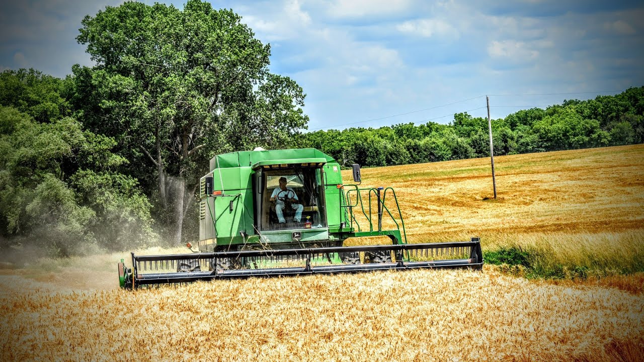 Harvesting Wheat - John Deere 9600 Maximizer & 925 Head