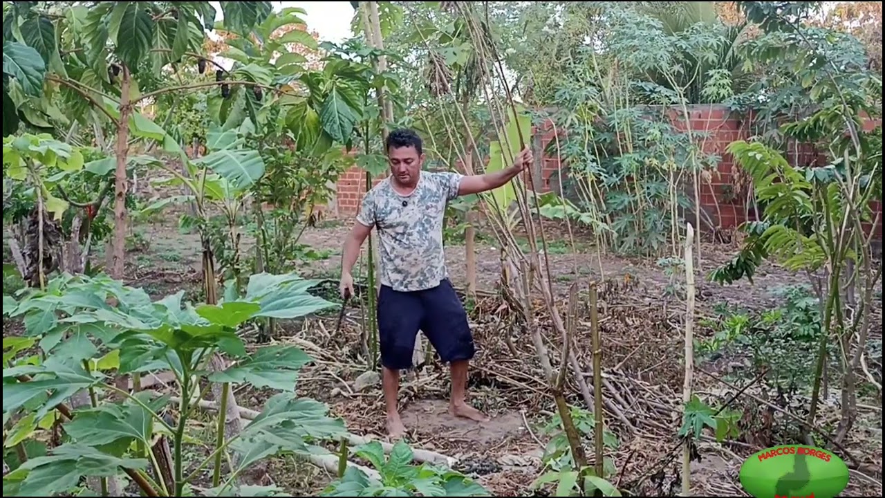 O trabalho continua aqui no sítio+muito trabalho 