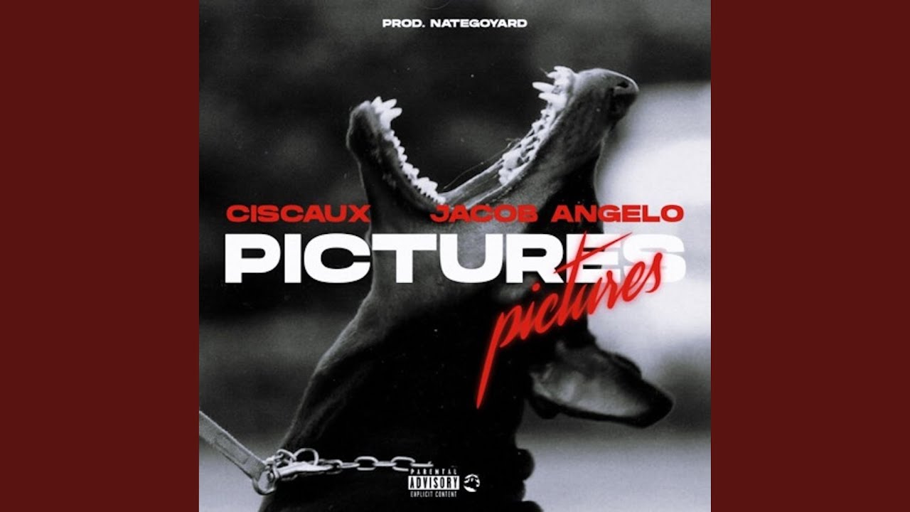 Pictures (feat. Jacob Angelo)