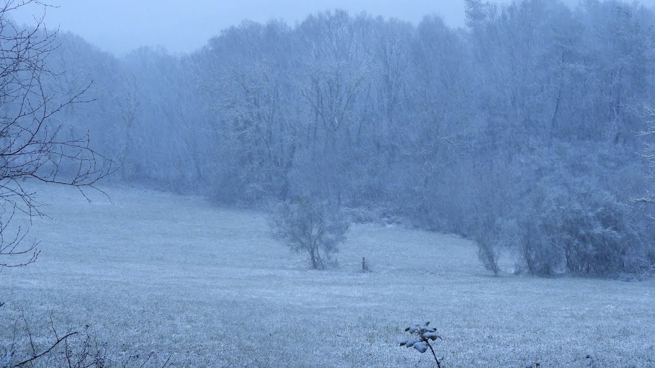 Nieva en Cand&aacute;n.
