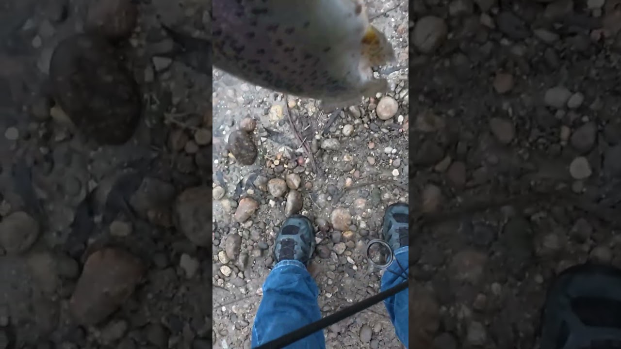 Fast Catch and Release 