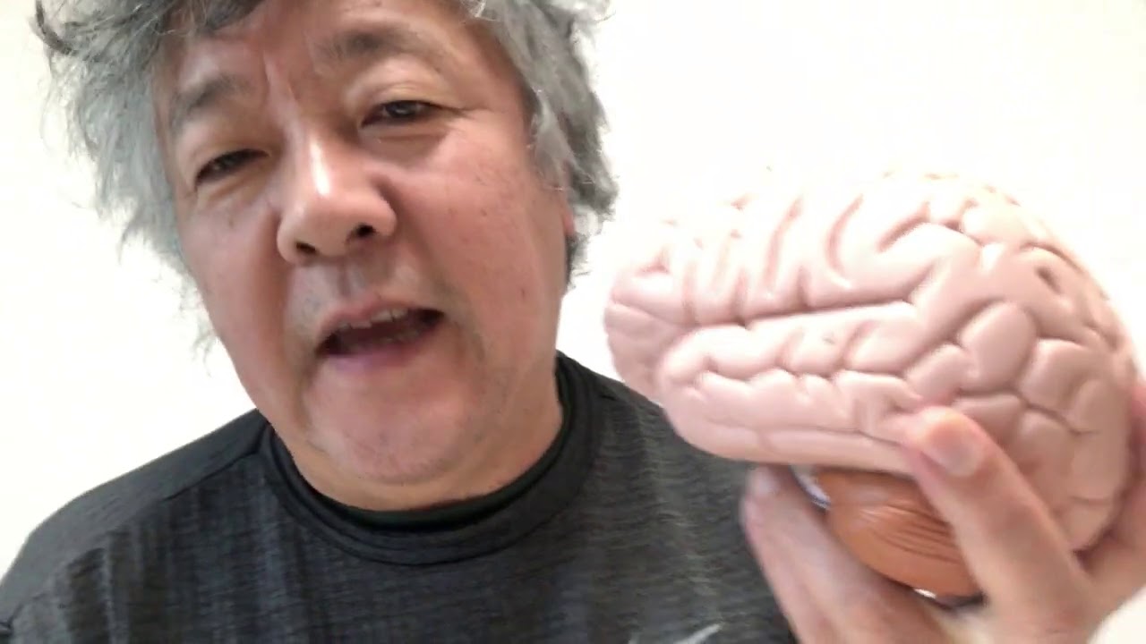 脳の学びに劣等感、優越感は関係ない！！