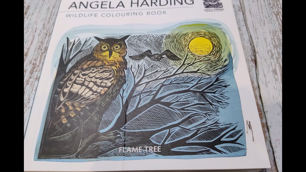Карточка Woodland Aperture с Анджелой Хардинг #angelaharding
