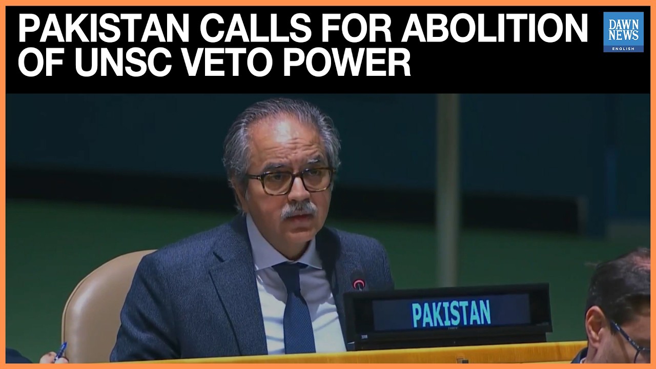 &lsquo;Privilege For None&rsquo;: Pakistan Calls For Abolition Of UNSC Veto Power, Rejects New Permanent Seats