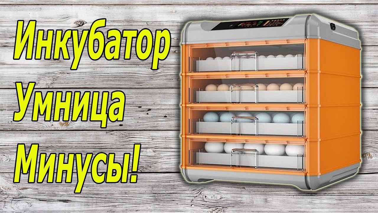 Инкубатор Умница - минусы